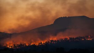 World Nature Conservation Day highlights wildfire prevention